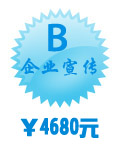 企業(yè)宣傳型套餐B