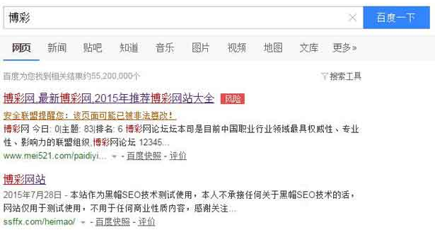 黑帽SEO技術(shù)中最穩(wěn)定的方法 SEO推廣 第1張