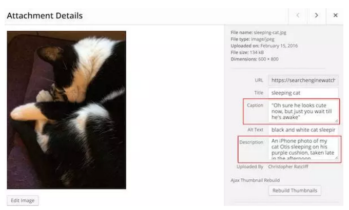 外貿(mào)自建站如何做好圖片的SEO優(yōu)化，一圖勝過(guò)千言