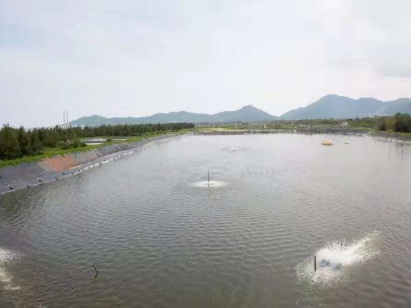 淺要分析氨氮毒理！！！