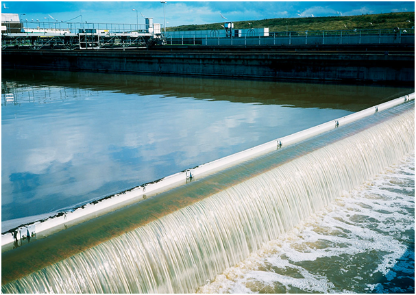 污水中碳氮比脫氮技術新發展