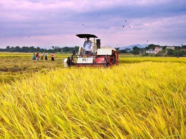 哪種聚丙烯酰胺對農業廢水有益？